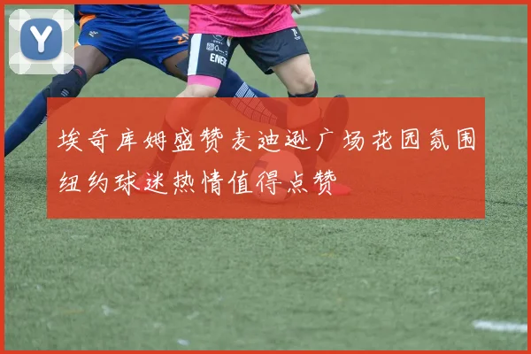 埃奇库姆盛赞麦迪逊广场花园氛围纽约球迷热情值得点赞