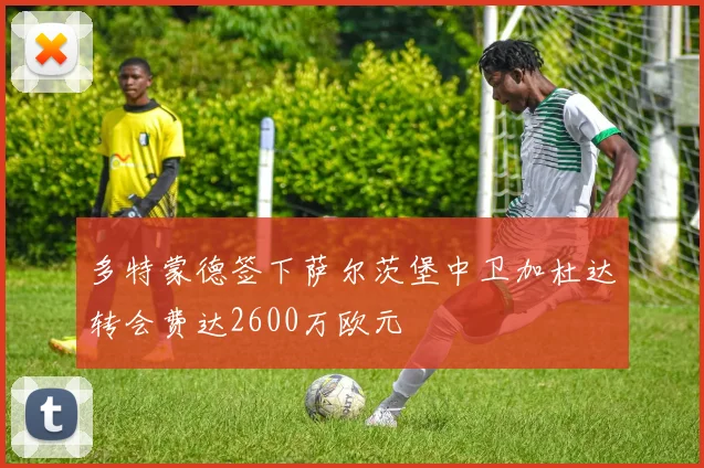多特蒙德签下萨尔茨堡中卫加杜达转会费达2600万欧元